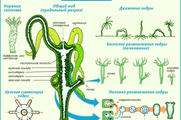 Kraken зеркало даркнет