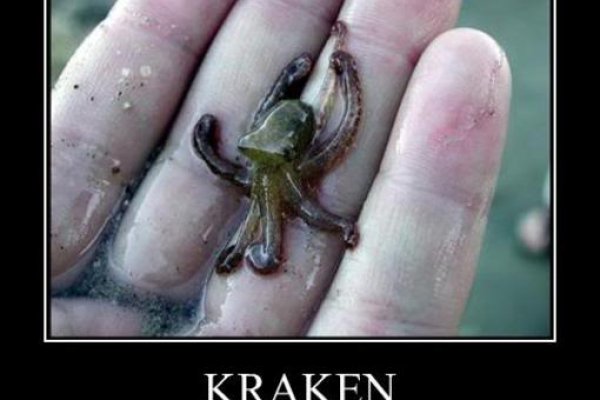 Как зайти на kraken в 2024